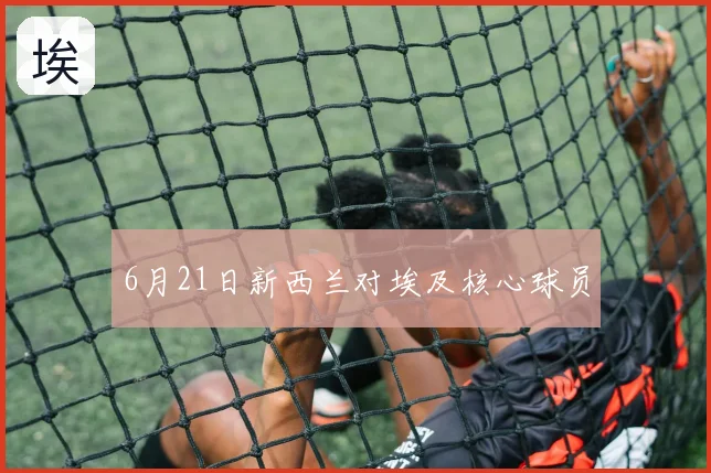 6月21日新西兰对埃及核心球员